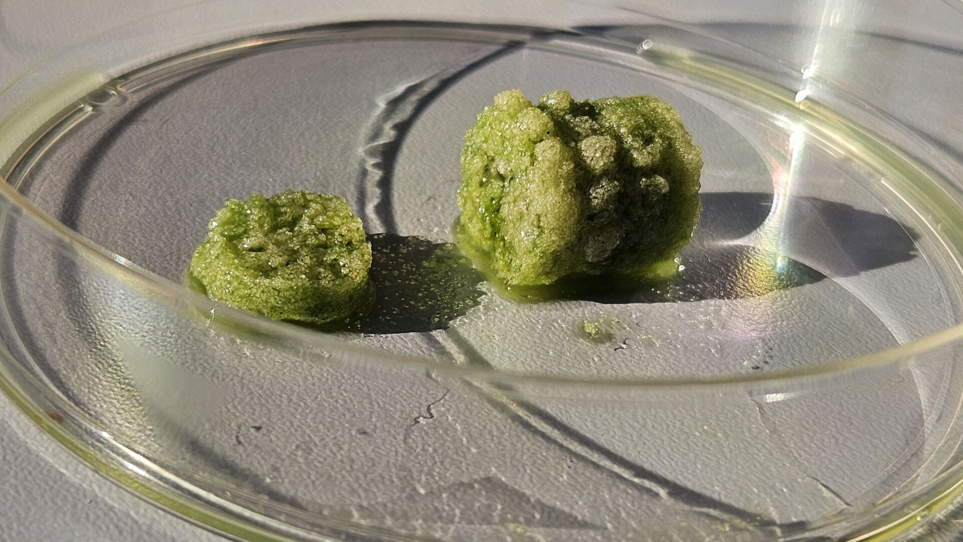 Hero-Image – BiogenicMatter