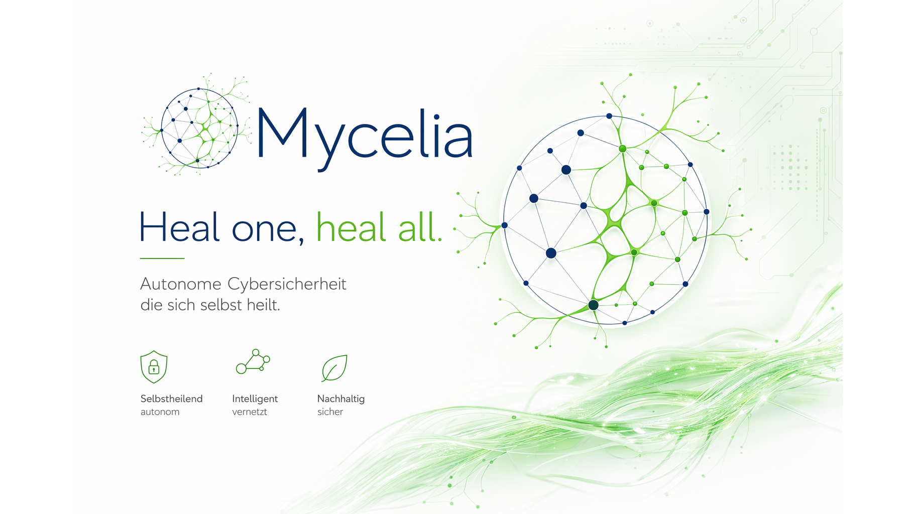 Hero-Image – Mycelia