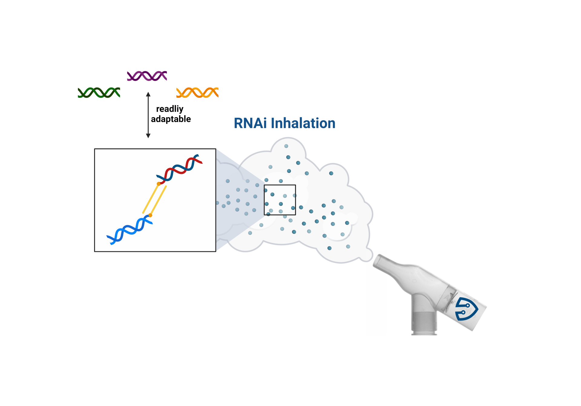 Produkt – ZephyRNA