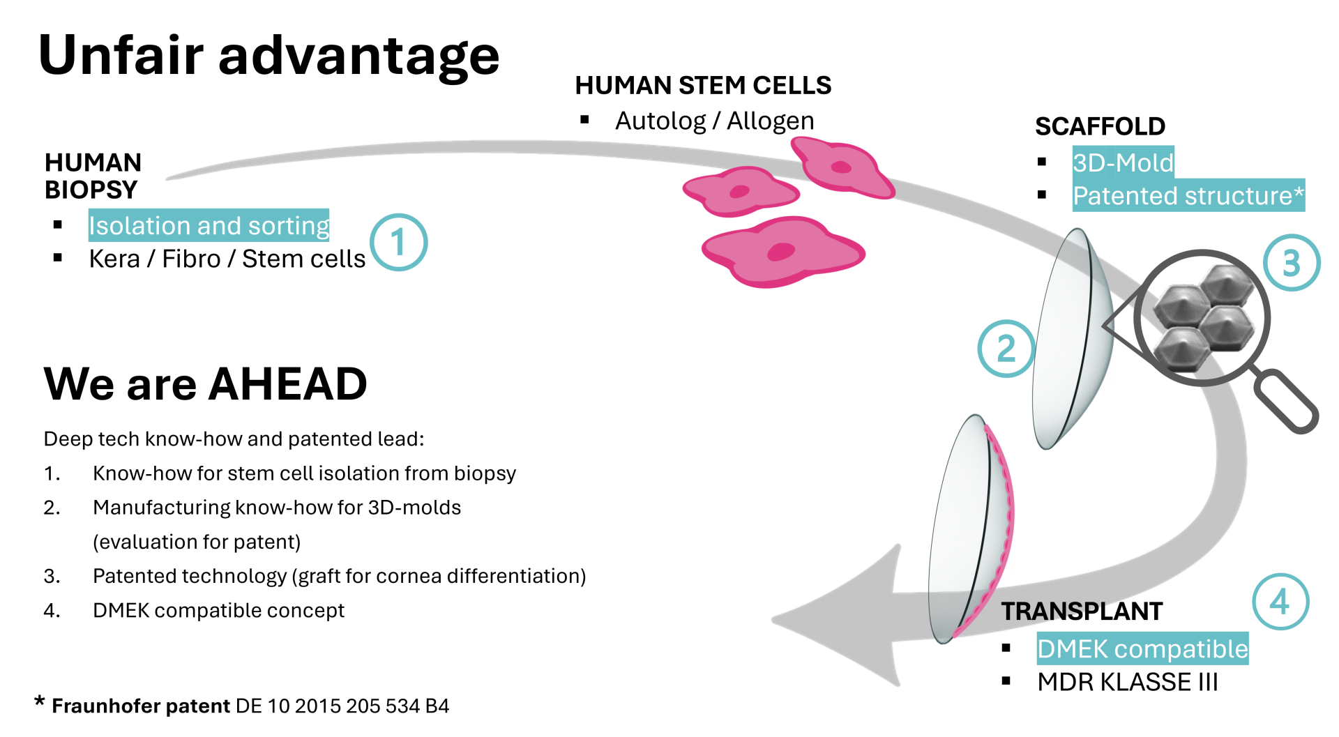 Alleinstellung – GECKO